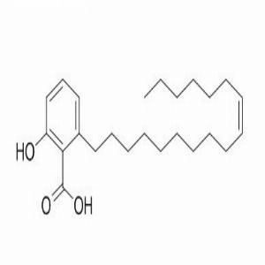 银杏酸(C17:1)，Ginkgolic Acid (C17:1)，111047-30-4