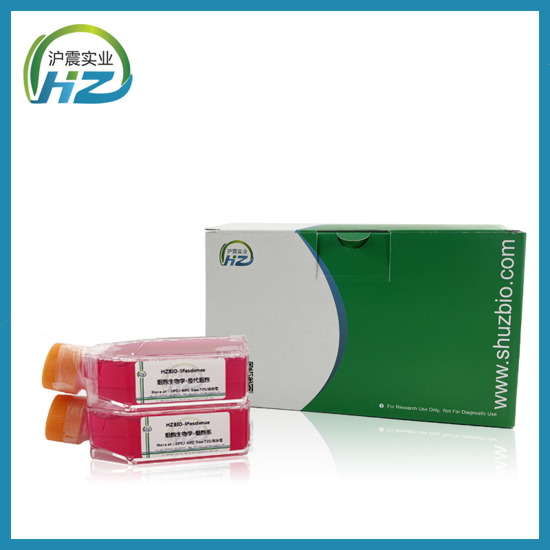 Caki-1（人肾透明细胞癌皮肤转移细胞）HZ-5139HC