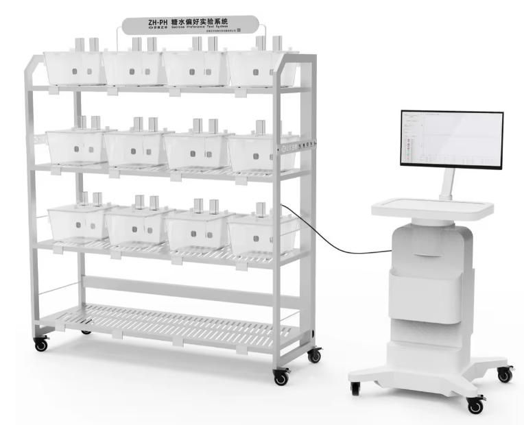大小鼠糖水偏爱实验系统 糖水偏好实验系统ZH-PH 糖水偏好实验系统
