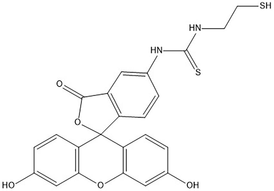 异硫异硫氰酸荧光素标记巯基；FITC-SH；111647-39-3 