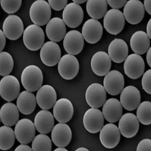 PP微球200nm，PP microspheres