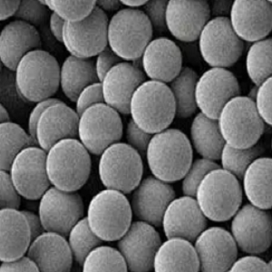 PE微球100nm，PE microspheres