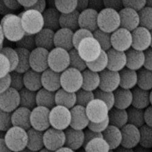 阴离子型功能化疏水性聚苯乙烯纳米粒子100nm，Anionically functionalized hydrophobic polystyrene nanoparticles