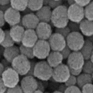 羧基修饰PLA微球100nm，Carboxyl-modified PLA microspheres
