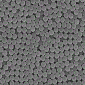 PLA包裹纳米银微球，PLA-Encapsulated Silver Nanoparticle Microspheres