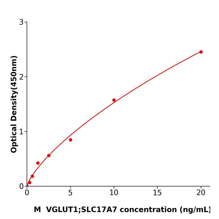 小鼠囊泡谷氨酸转运蛋白1(VGLUT1;SLC17A7).png