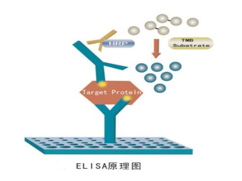 19e5d4e4a0e6f061a8aad73c1d478248_2020121807211691561.png 19e5d4e4a0e6f061a8aad73c1d478248_2020121807211691561.png