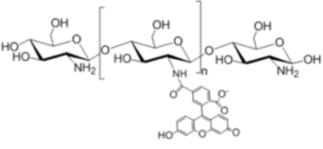 Fitc-壳六糖，FITC-Chitohexaose Hydrochloride，FITC 标记壳六糖盐酸盐，壳六糖 - FITC 缀合物，异硫氰酸荧光素 - 壳六糖