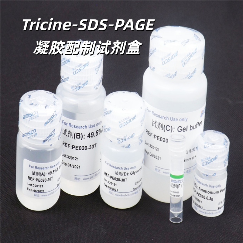 Tricine-SDS-PAGE凝胶配制试剂盒
