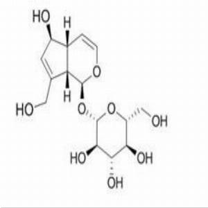 桃叶珊瑚苷(CAS:479-98-1)