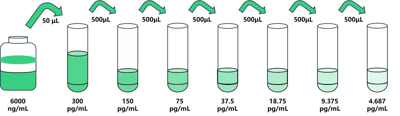 4.687~300pg.jpg 4.687~300pg.jpg