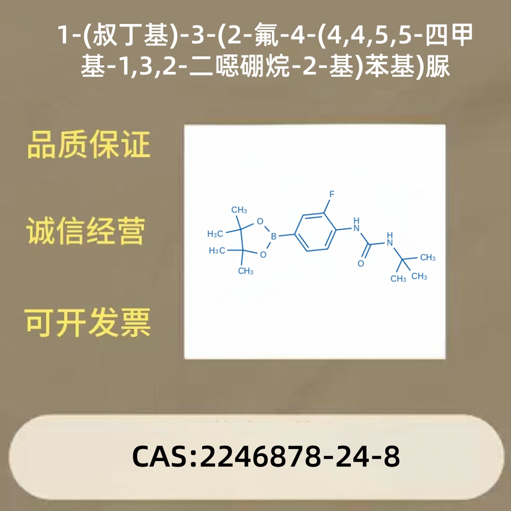 1-(叔丁基)-3-(2-氟-4-(4,4,5,5-四甲基-1,3,2-二噁硼烷-2-基)苯基)脲