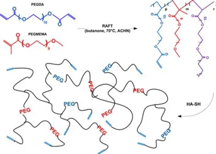 PEG-RAFT，聚乙二醇-可逆加成-断裂链转移试剂