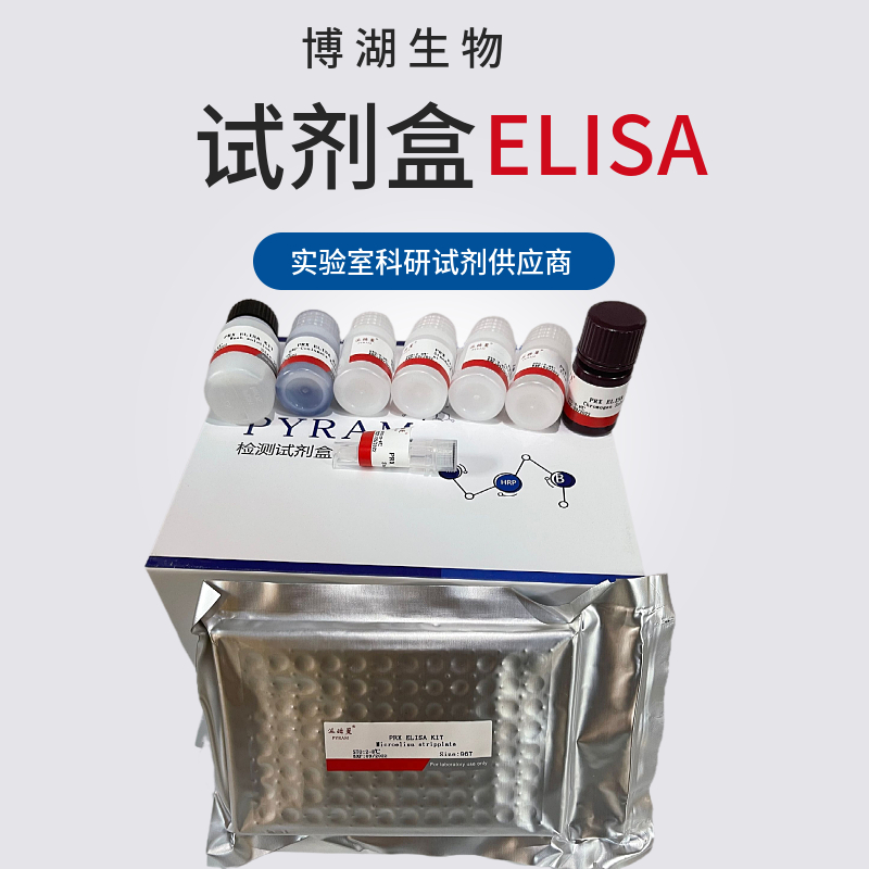 人腺苷二磷酸葡萄糖焦磷酸化酶(AGP)ELISA试剂盒