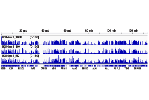 核酸酶靶向切割和释放检测试剂盒