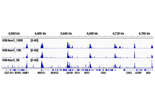 核酸酶靶向切割和释放检测试剂盒