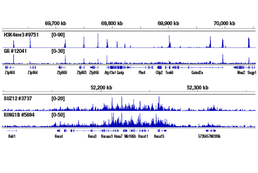 核酸酶靶向切割和释放检测试剂盒