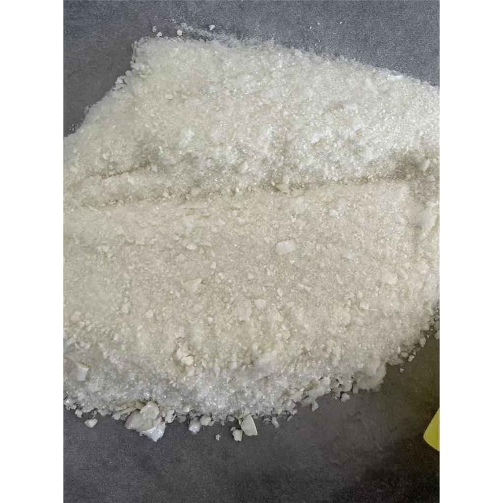 耻垢分枝杆菌脂肪酶