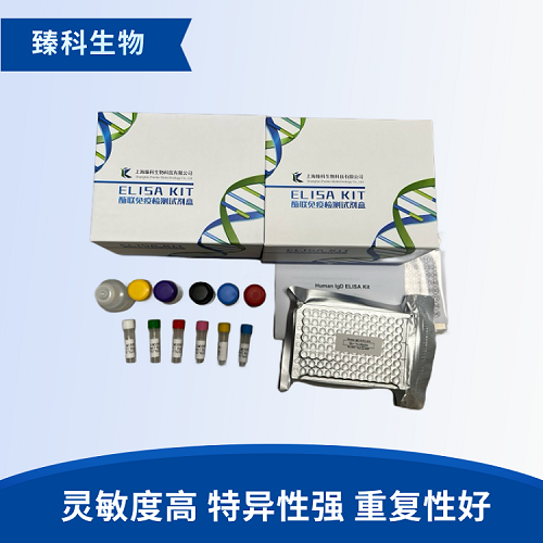 大鼠血管内皮生长因子受体2(VEGFR-2）elisa试剂盒