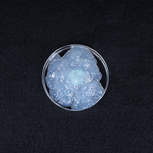  TEMPO 氧化纳米纤维素功能材料增强应用