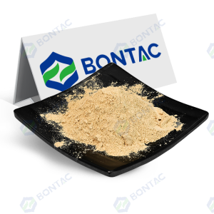 稀有人参皂苷Rh2