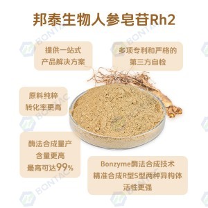 稀有人参皂苷Rh2