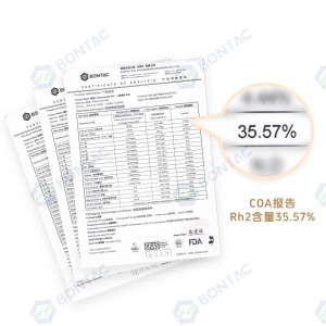 稀有人参皂苷Rh2