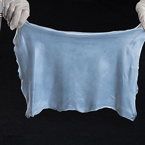 功能型细菌纤维素薄膜