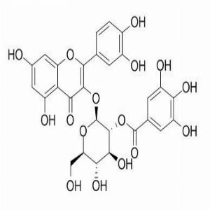 2-O-没食子酰基金丝桃苷(CAS:53209-27-1)