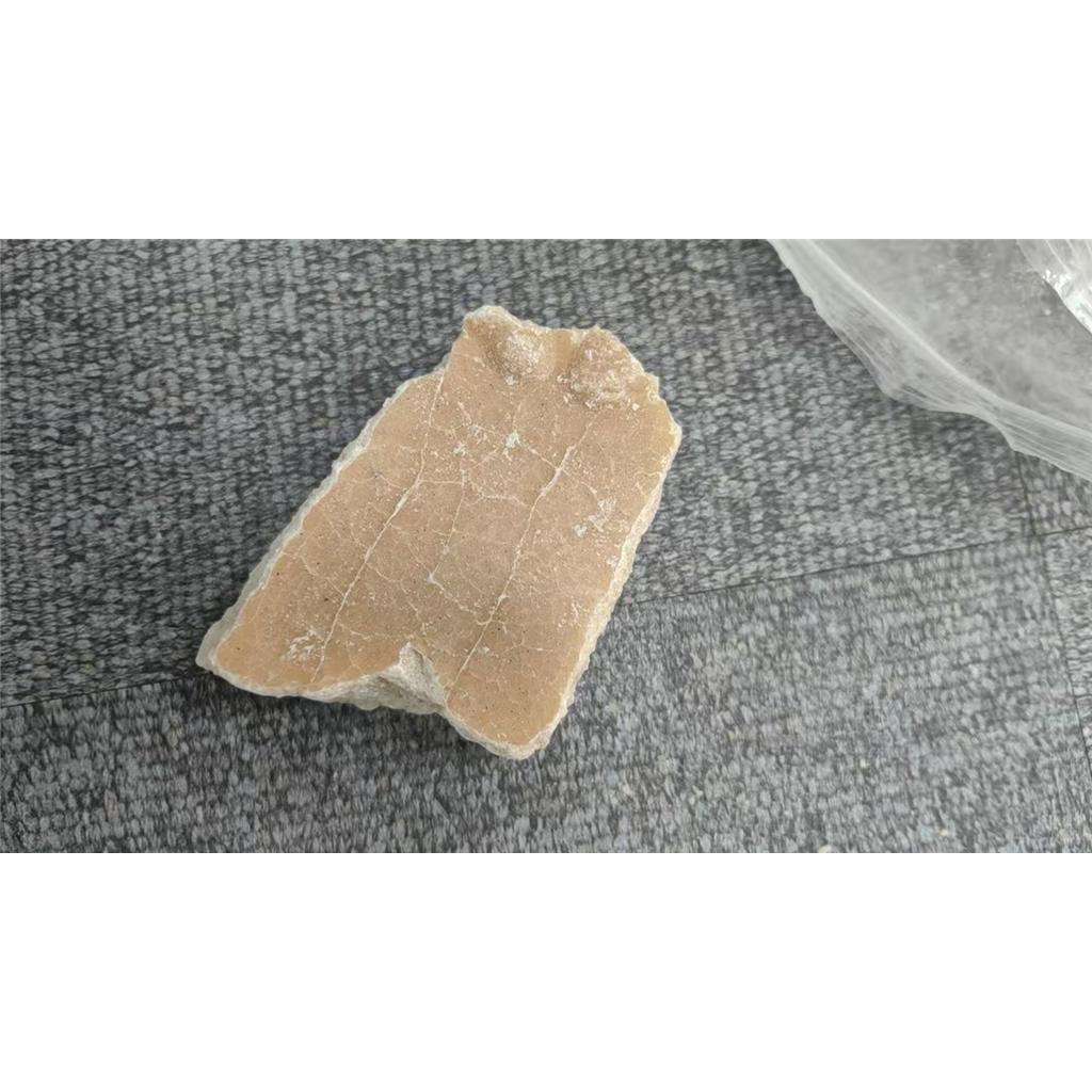 ?聚癸二酸酐的合成与应用