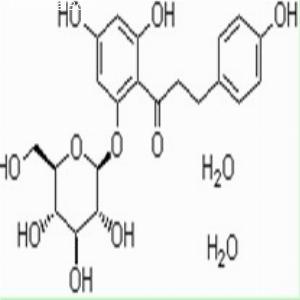 根皮苷(二水)(CAS:7061-54-3)
