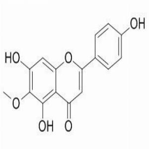 高车前素(CAS:1447-88-7)