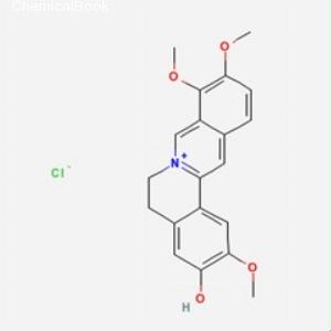 盐酸药根碱(CAS:6681-15-8)