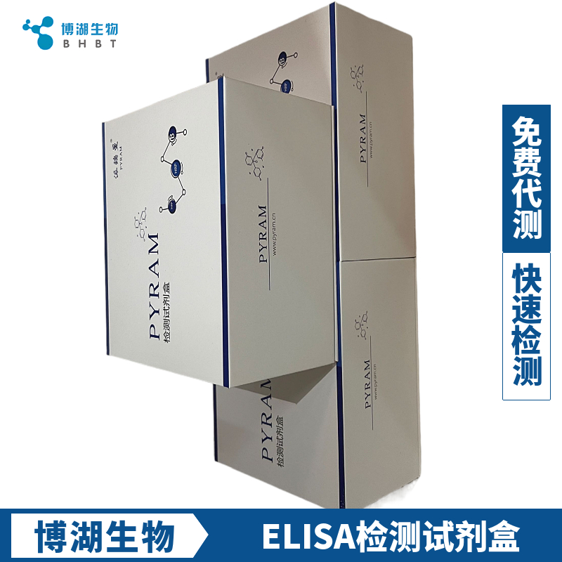 人白介素13(IL-13)ELISA试剂盒