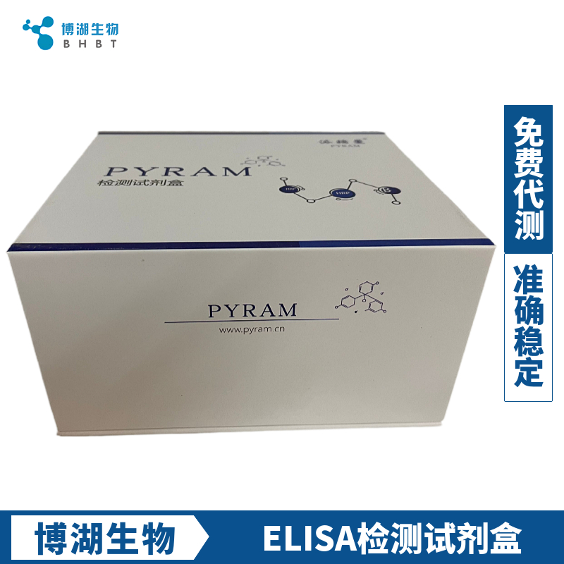 人白介素13(IL-13)ELISA试剂盒