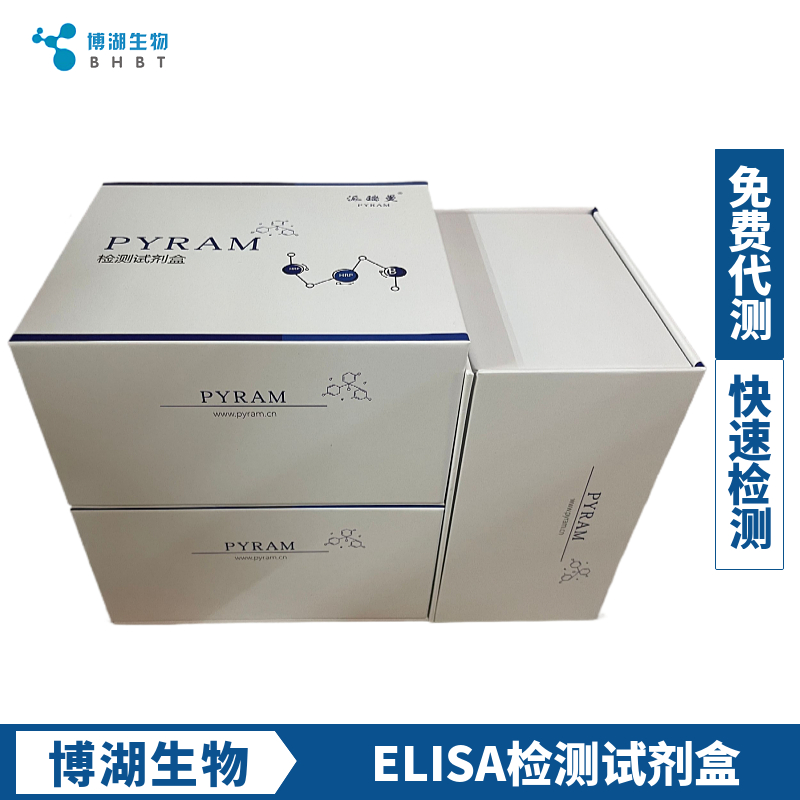 人白介素13(IL-13)ELISA试剂盒