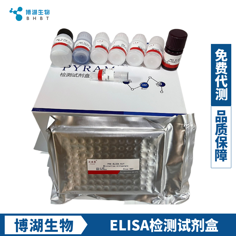 大鼠激肽释放酶3(PSA)ELISA试剂盒