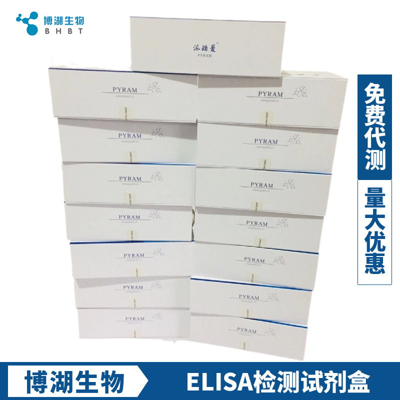 大鼠激肽释放酶3(PSA)ELISA试剂盒