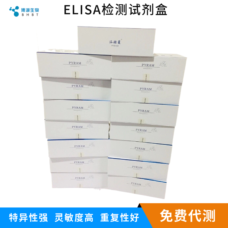 大鼠激肽释放酶3(PSA)ELISA试剂盒