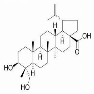 23-羟基白桦酸(CAS:85999-40-2)