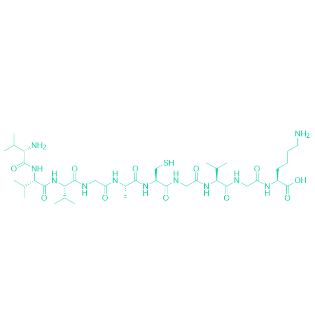新抗原多肽KRAS G12C Peptide/1932689-40-1/KRAS G12C Peptide
