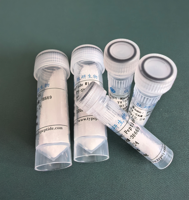 新抗原多肽KRAS G12C Peptide/1932689-40-1/KRAS G12C Peptide