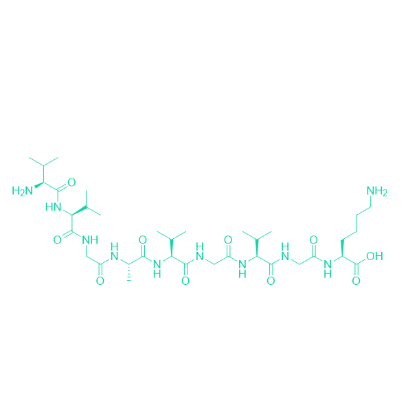 新抗原多肽KRAS G12V Peptide/197365-51-8/KRAS G12V Peptide