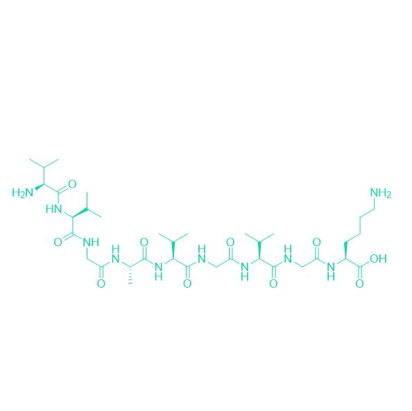 KRAS G12V Peptide 197365-51-8.png