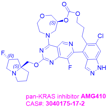 pan-KRAS inhibitor AMG410