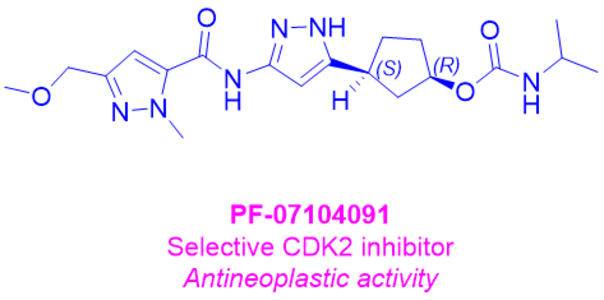 Tagtociclib PF-07104091