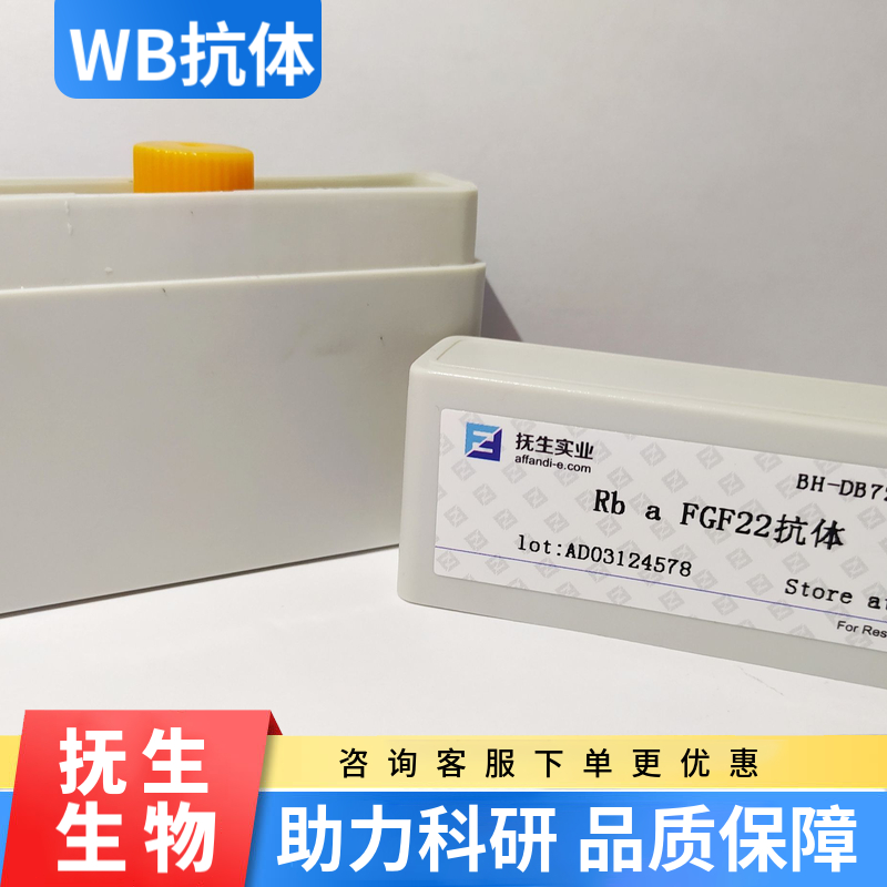 电压开启的钠离子通道SCN9A抗体