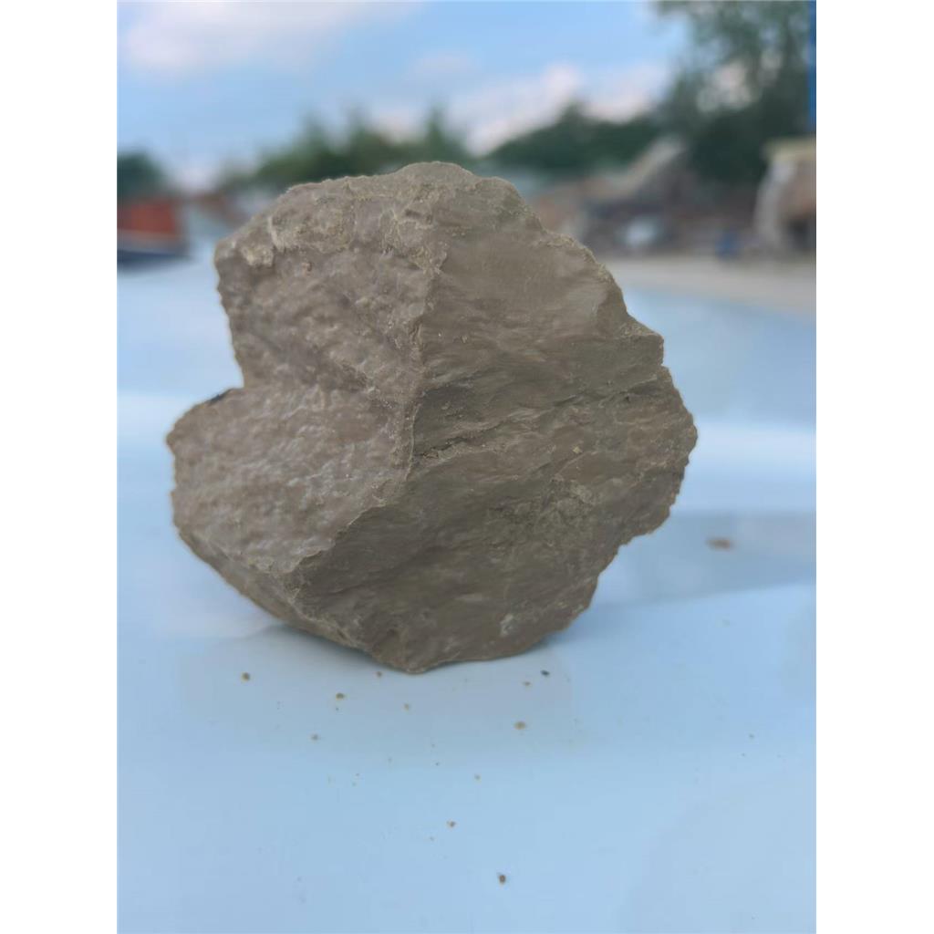 源头厂家直营 硅藻土?颗粒载体?吸附性强 环保矿物载体