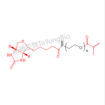 生物素聚乙二醇甲基丙烯酸酯  Biotin-PEG-MAC