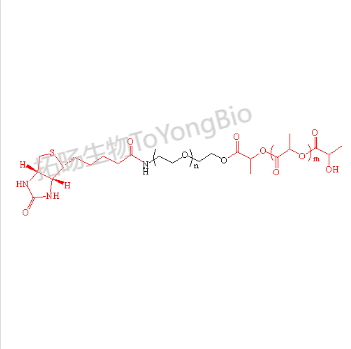 生物素聚乙二醇聚乳酸  Biotin-PEG-PLA